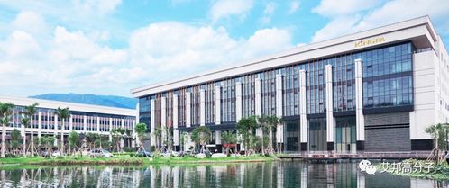 國內改性尼龍企業30強 新材料科技領域的技術創新與市場格局